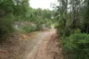 3164 Kangaroo Creek Road, Kangaroo Creek, NSW 2460-Image