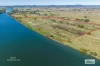 3179 Big River Way, Cowper, NSW 2460-Image
