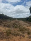 32, Bay Road, Forest Ridge, Qld 4357-Image