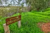 32 Higgins Road, Buchfelde SA 5118-Image