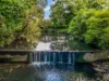 3201 Wallanbah Road, Dyers Crossing NSW 2429-Image