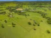 3201 Wallanbah Road, Dyers Crossing NSW 2429-Image