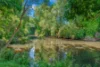 3201 Wallanbah Road, Dyers Crossing NSW 2429-Image