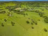 3201 Wallanbah Road, Dyers Crossing NSW 2429-Image