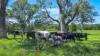 3201 Wallanbah Road, Dyers Crossing NSW 2429-Image