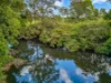 3201 Wallanbah Road, Dyers Crossing NSW 2429-Image
