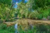 3201 Wallanbah Road, Dyers Crossing NSW 2429-Image