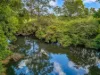 3201 Wallanbah Road, Dyers Crossing NSW 2429-Image