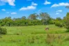 3201 Wallanbah Road, Dyers Crossing NSW 2429-Image