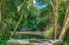 3201 Wallanbah Road, Dyers Crossing NSW 2429-Image