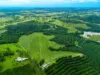 323 Alcorn Road, Knockrow, NSW 2479