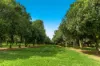 323 Alcorn Road, Knockrow, NSW 2479-Image