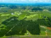 323 Alcorn Road, Knockrow, NSW 2479-Image