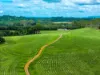 323 Alcorn Road, Knockrow, NSW 2479-Image