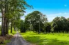 323 Alcorn Road, Knockrow, NSW 2479-Image