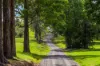 323 Alcorn Road, Knockrow, NSW 2479-Image