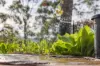 323 Mooloolah Road, Eudlo, Qld 4554-Image