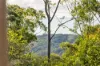 323 Mooloolah Road, Eudlo, Qld 4554-Image