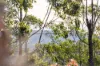 323 Mooloolah Road, Eudlo, Qld 4554-Image