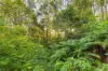 323 Mooloolah Road, Eudlo, Qld 4554-Image