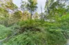 323 Mooloolah Road, Eudlo, Qld 4554-Image