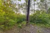 323 Mooloolah Road, Eudlo, Qld 4554-Image
