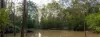 323 Mooloolah Road, Eudlo, Qld 4554-Image