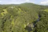 326 Billings Road, Tallowwood Ridge, NSW 2453-Image