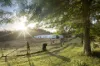 326 Billings Road, Tallowwood Ridge, NSW 2453-Image