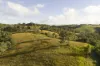 326 Billings Road, Tallowwood Ridge, NSW 2453-Image
