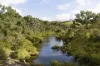 326 Billings Road, Tallowwood Ridge, NSW 2453-Image
