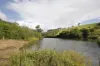 326 Billings Road, Tallowwood Ridge, NSW 2453-Image