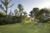 326 Billings Road, Tallowwood Ridge, NSW 2453-Image