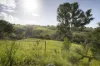 326 Billings Road, Tallowwood Ridge, NSW 2453-Image