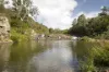 326 Billings Road, Tallowwood Ridge, NSW 2453-Image