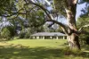 326 Billings Road, Tallowwood Ridge, NSW 2453-Image