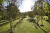 326 Billings Road, Tallowwood Ridge, NSW 2453-Image