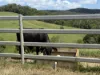 328 Aldridge Road, Upper Barron, Qld 4883-Image