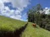 328 Aldridge Road, Upper Barron, Qld 4883-Image