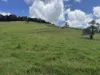 328 Aldridge Road, Upper Barron, Qld 4883-Image