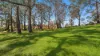 33-41 Skyline Road, Mount Tomah, NSW 2758-Image