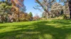 33-41 Skyline Road, Mount Tomah, NSW 2758-Image