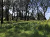 33-41 Skyline Road, Mount Tomah, NSW 2758-Image