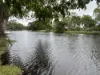 330 Inkerman Road, Fredericksfield, Qld 4806-Image