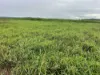 330 Inkerman Road, Fredericksfield, Qld 4806-Image