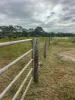 330 Inkerman Road, Fredericksfield, Qld 4806-Image