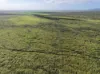 330 Inkerman Road, Fredericksfield, Qld 4806-Image