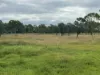 330 Inkerman Road, Fredericksfield, Qld 4806-Image