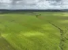 330 Inkerman Road, Fredericksfield, Qld 4806-Image
