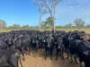 330 Inkerman Road, Fredericksfield, Qld 4806-Image